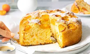Ein saftiger Aprikosenkuchen, bestäubt mit Puderzucker, wird angeschnitten. Ein Stück davon könnte der weltbester Aprikosenkuchen sein.