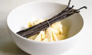 Schüssel mit cremigem Vanilleeis, garniert mit dunklen Vanilleschoten. Perfekt für die selbstgemachte Eismaschine.