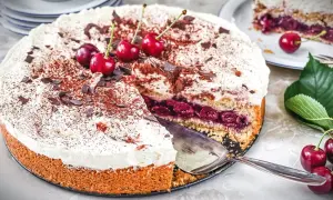 Ein saftiger Feuerwehrkuchen mit Kirschen und Sahne, bestreut mit Kakao und Schokostückchen. Ein köstliches Rezept für jeden Anlass.