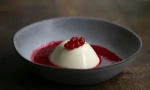 Cremige Panna Cotta mit roter Beerensauce und frischen Johannisbeeren in einer grauen Schale auf Holzhintergrund.