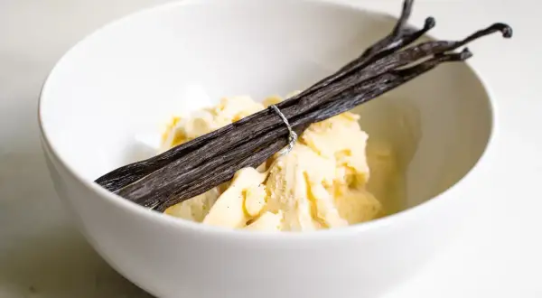 Schüssel mit cremigem Vanilleeis, garniert mit dunklen Vanilleschoten. Perfekt für die selbstgemachte Eismaschine.