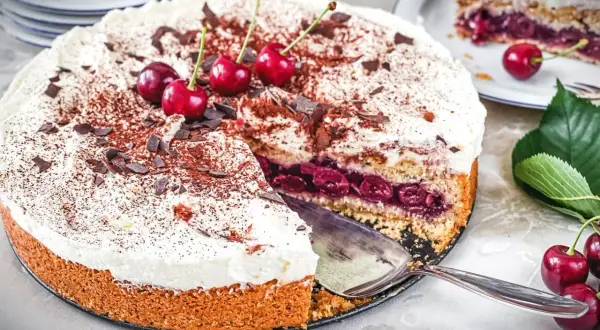 Ein saftiger Feuerwehrkuchen mit Kirschen und Sahne, bestreut mit Kakao und Schokostückchen. Ein köstliches Rezept für jeden Anlass.