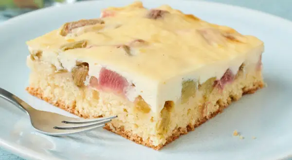 Ein Stück saftiger Rhabarber-Blechkuchen mit cremiger Füllung und einem lockeren Boden, bereit zum Genießen.