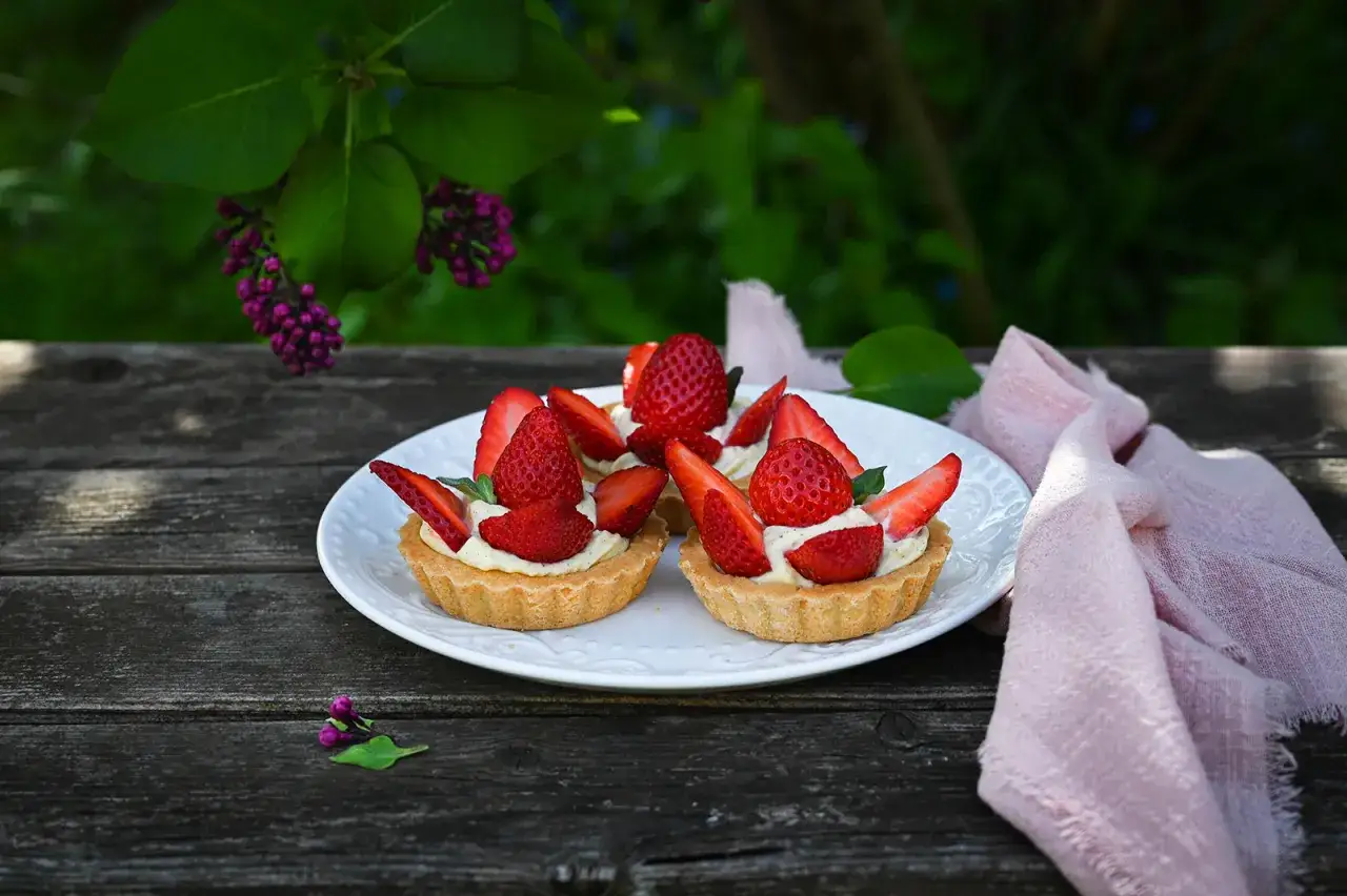 Drei k&ouml;stliche Erdbeer Tartelettes mit frischen Erdbeeren und Vanillecreme auf einem wei&szlig;en Teller, garniert mit Minze.