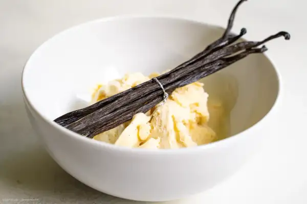 Schüssel mit cremigem Vanilleeis, garniert mit dunklen Vanilleschoten. Perfekt für die selbstgemachte Eismaschine.